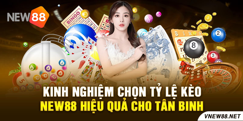 Kinh nghiệm chọn tỷ lệ kèo New88 hiệu quả cho tân binh