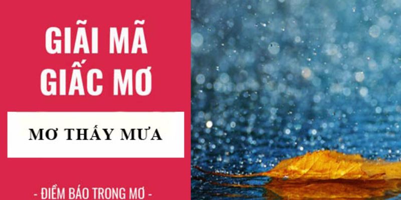 Giải mã giấc mơ thấy trời mưa Giải mã giấc mơ thấy trời mưa