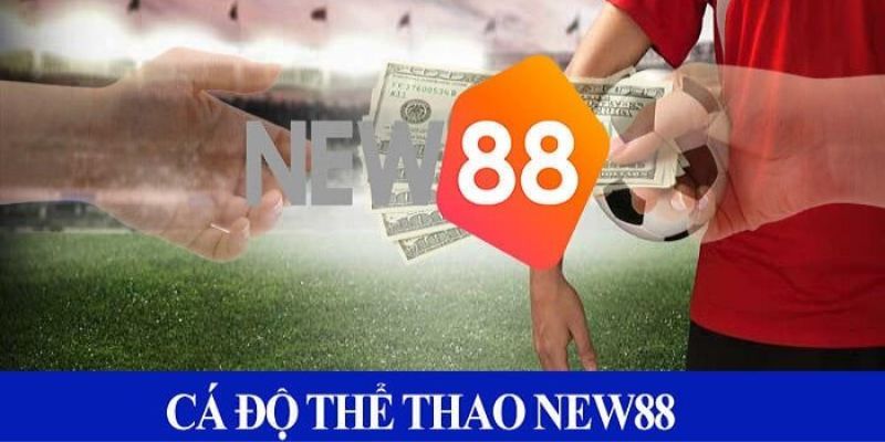 Sảnh thể thao New88 hợp tác với những thương hiệu nào?