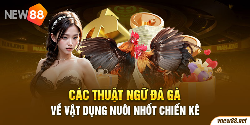 Các thuật ngữ đá gà về vật dụng nuôi nhốt chiến kê