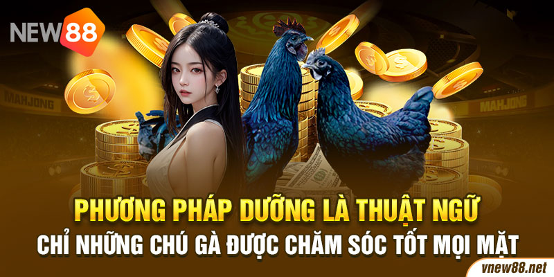 Phương pháp dưỡng là thuật ngữ chỉ những chú gà được chăm sóc tốt mọi mặt