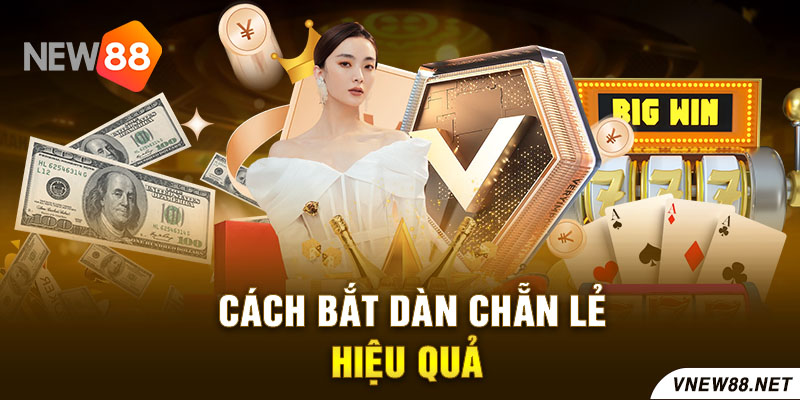 Cách bắt dàn chẵn lẻ hiệu quả