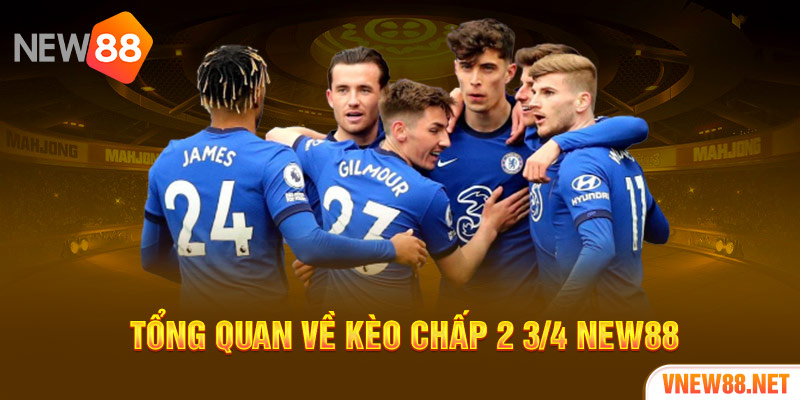 Tổng quan về kèo chấp 2 3/4 New88